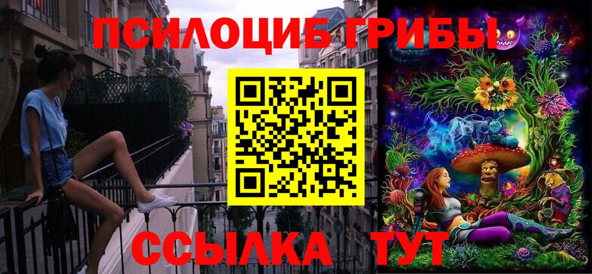 Псилоцибиновые грибы прущие грибы  Вход с VPN  Ковров 