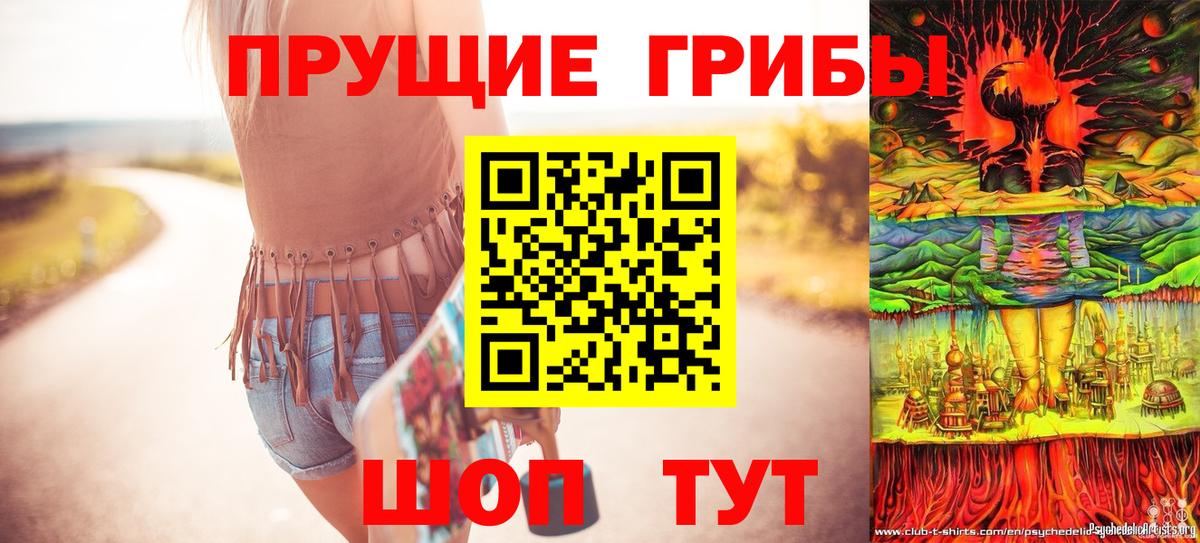 Псилоцибиновые грибы мицелий Ковров